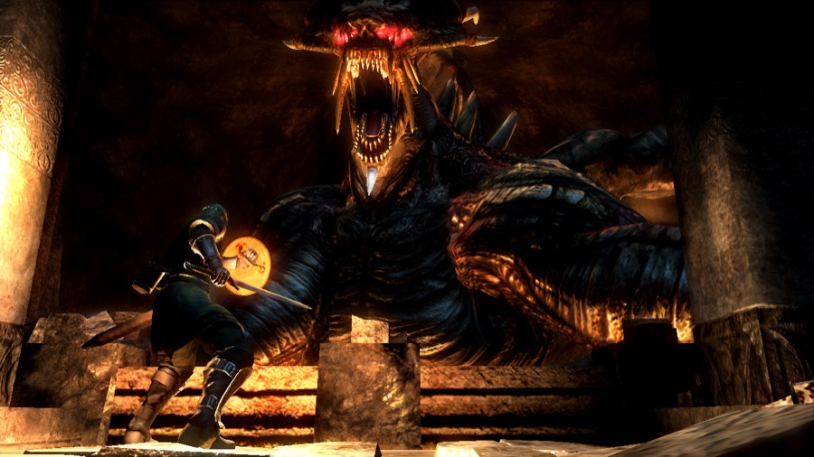 A knight in Demon's Souls faces up to a dragon.