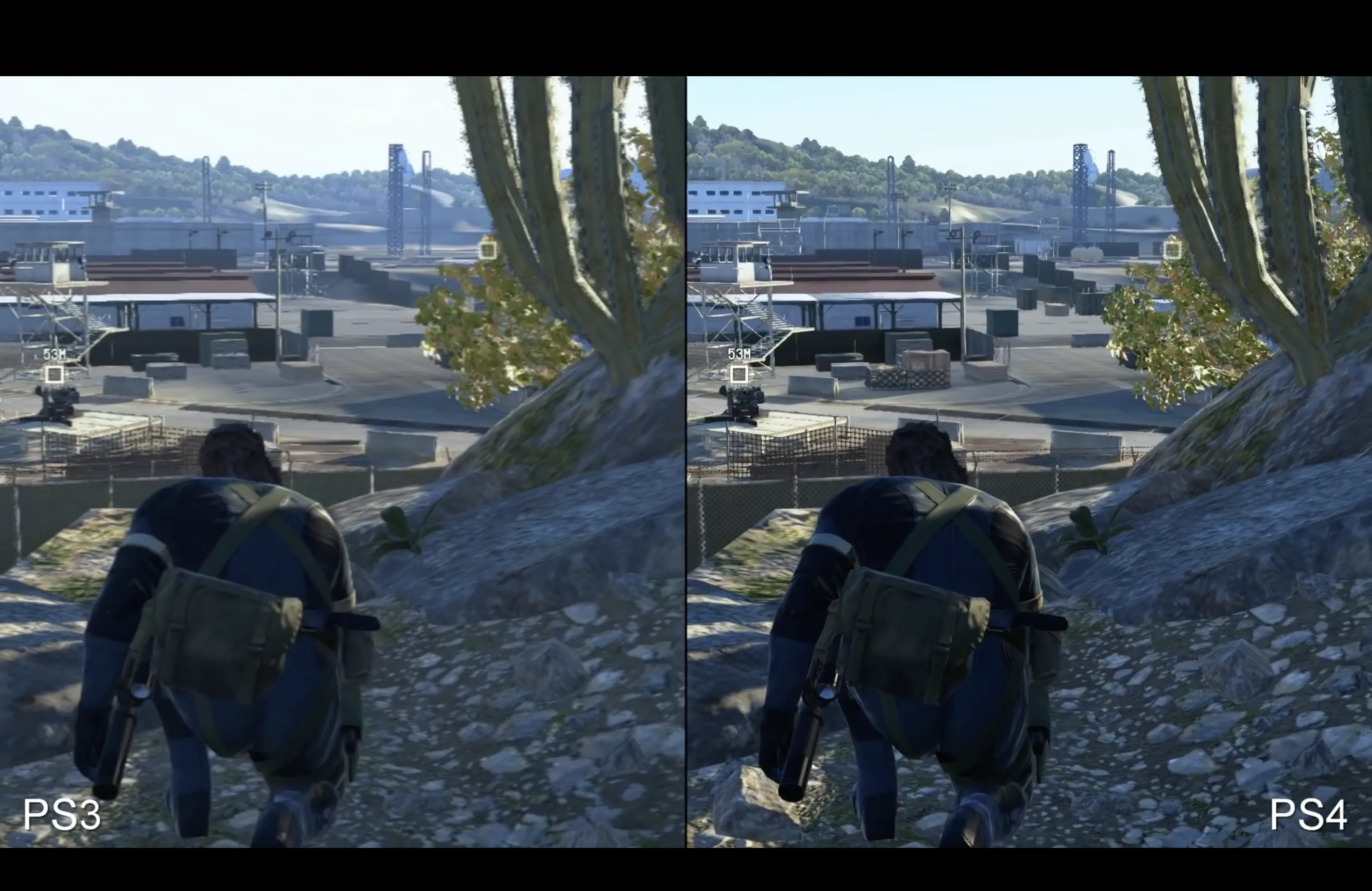 Snake looks out over a compound