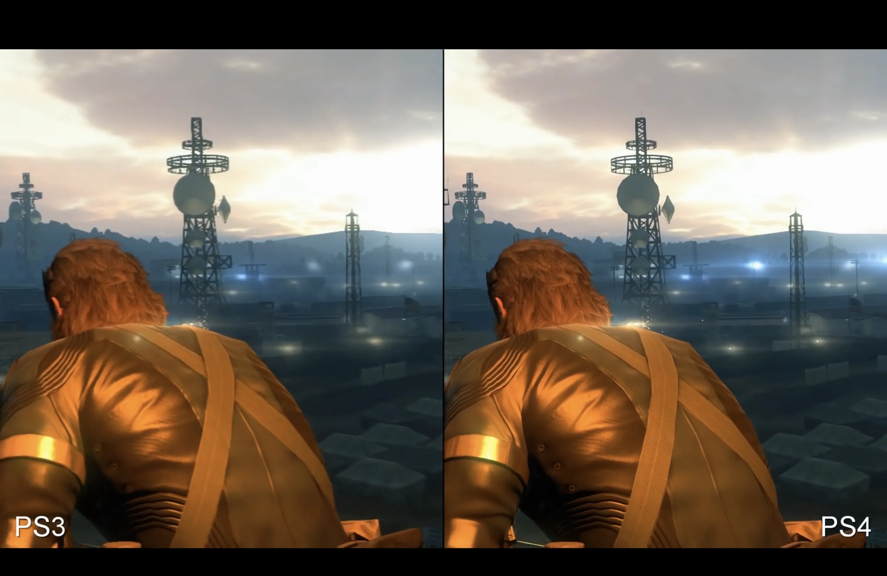 Snake looks out over a compound